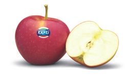 Kanzi Apple from Australia supplied by 9 Mile Fresh - Kanzi (=Nicoter) Fresh Apple