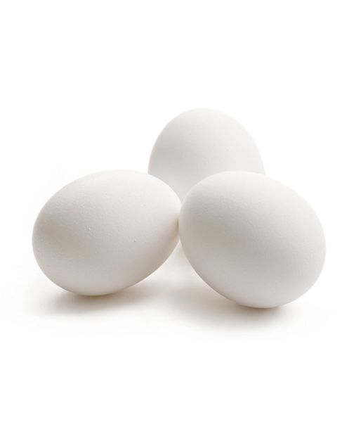 Fresh Eggs from 프랑스 supplied by DELON LAGACHE MESNIL - 달걀