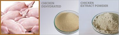 Chicken Extract Powder from 인도네시아 supplied by PT. Jinyoung - Powder 혼합 시즈닝