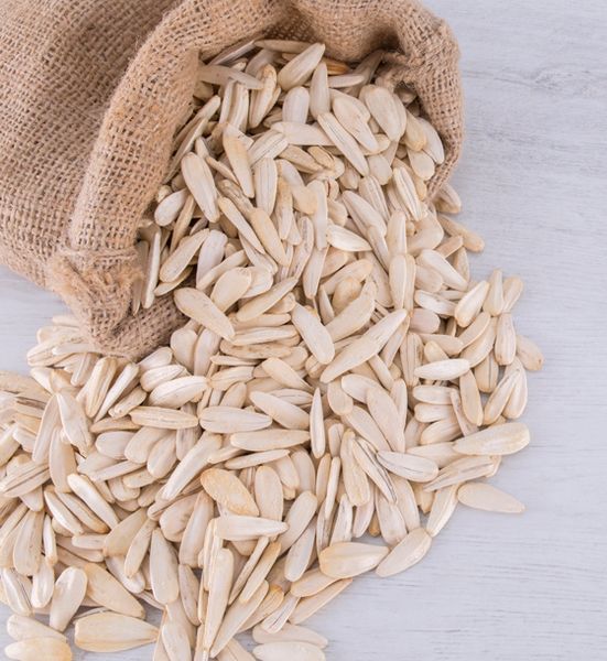 Sunflower Seed from 튀르키예 supplied by Altintop Kuruyemis - Unhulled 해바라기 씨