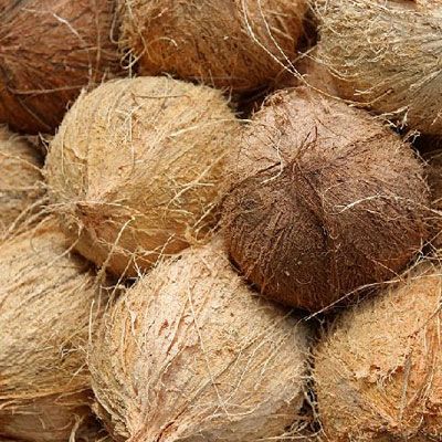 Husked Coconut from 인도네시아 supplied by PT Agro Bumi Universal - Best Quality 기타 신선 코코넛