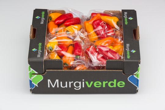 Organic Peppers Sweet Bite from 스페인 supplied by MurgiVerde Soc. Coop. Andaluza - Sweet Bite 신선 피망