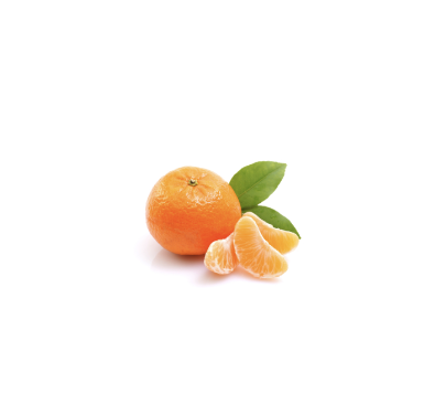Orange from 모로코 supplied by SUNPACK - 주황색 신선 오렌지