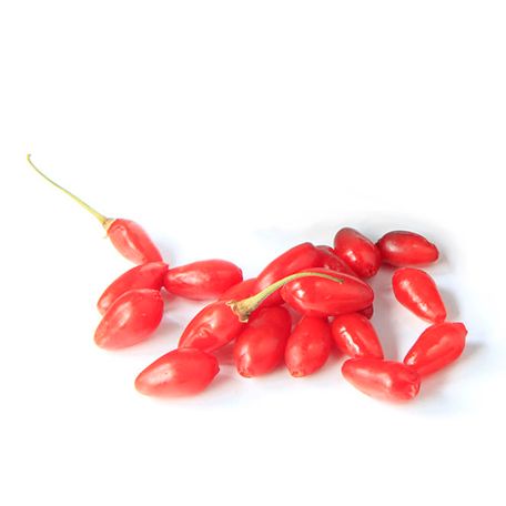 Gojji Berry from 포르투갈 supplied by BDP – Bagas de Portugal, C.R.L - Fresh (=Chilled) 신선 구기자
