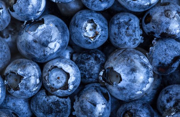 Blueberry (fresh) from 칠레 supplied by Comercial RD LTDA - Conventional 신선 블루베리