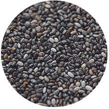 Chia from Netherlands supplied by Rhumveld Winter & Konijn B.V. - Black Varieties Chia Seed