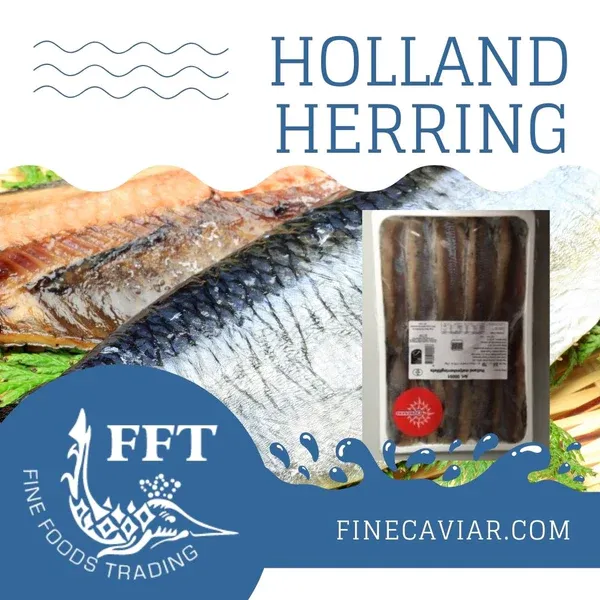 Frozen Herring from United States supplied by Fine Foods Trading, Corp. - Fillet Herring