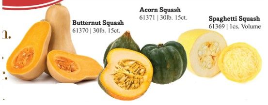 Squash from 미국 supplied by Greco And Sons, Inc. - Green 스쿼시