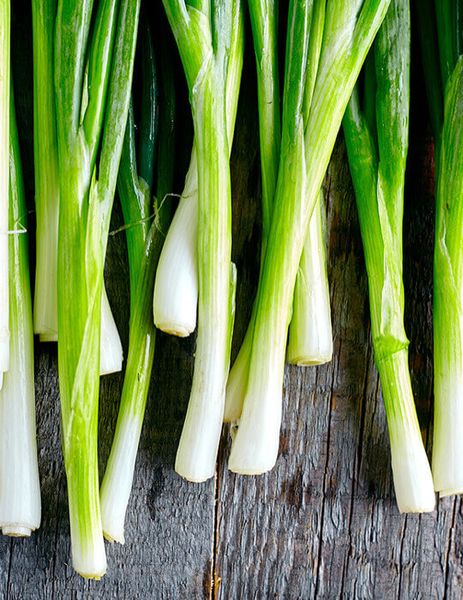Green Onion from United States supplied by Altar Produce - Green Fresh Scallion (Spring Onion)