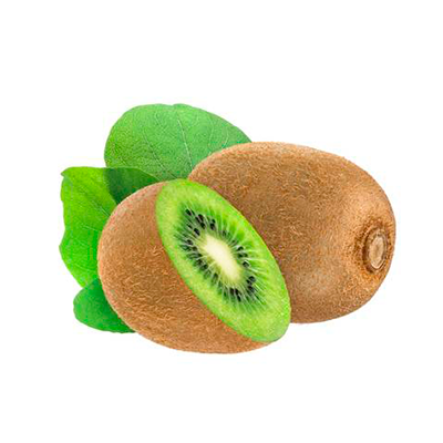 Kiwi from Chile supplied by Olivar Export SPA - Hayward Fresh Kiwifruit