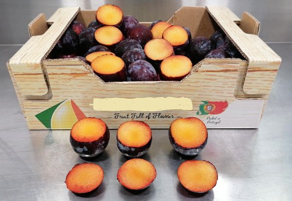 Fresh Plum & Apricot from 포르투갈 supplied by GRANFER - Plum - Ruby varieties 신선 자두