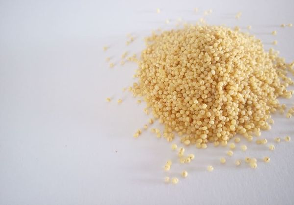 Millet from Russia supplied by LLC LTG Sarmat - For Food Millet