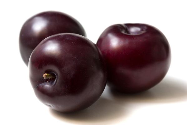 Black Amber Plum from Chile supplied by LAFRUT LTDA. - Plum - Black Amber Fresh Plum
