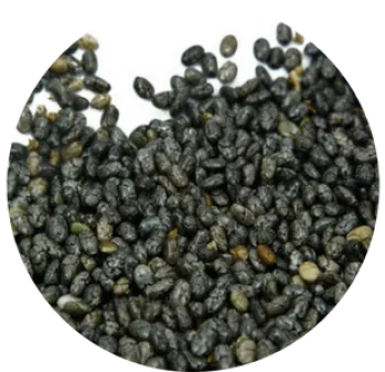 Raw Chia Seed from Paraguay supplied by HYPERGRAIN SA - Whole Chia Seed