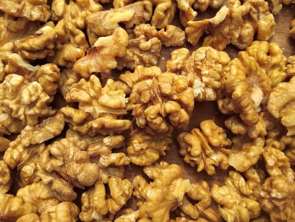 WALNUT KERNEL from 그리스 supplied by EXPORTERA P.C - Halves 호두 알맹이