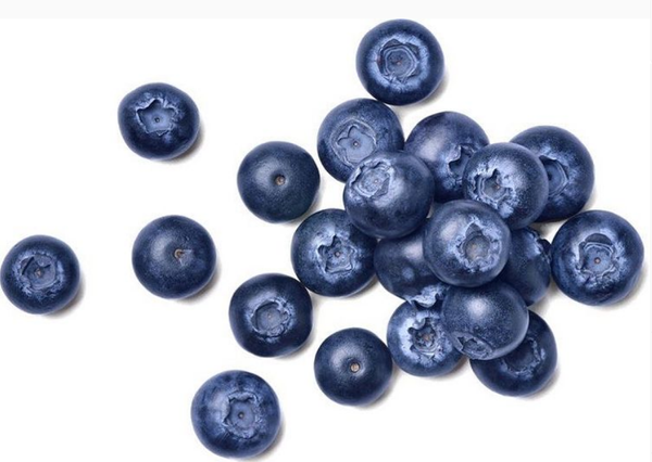 Blueberries from Netherlands supplied by Jaguar TFC - Dark Blue Fresh Blueberry
