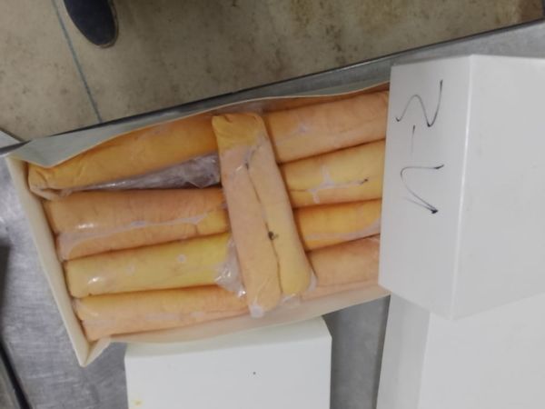 Mullet Roe from Mauritania supplied by El veth pour la peche et le commerce - Various Size Grey Mullet