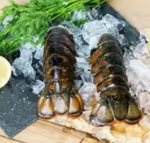 Lobster from United States supplied by Coastal Seafoods - Tails Only Fresh Common Lobster