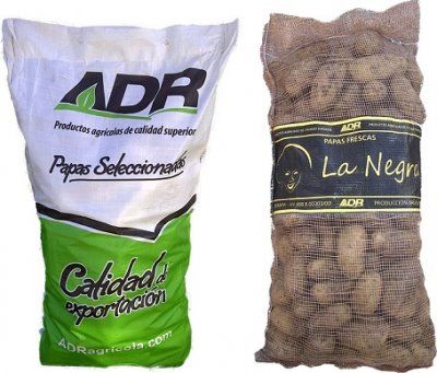 Potato from 아르헨티나 supplied by Grupo ADR Agricola S.A. - 갈색 신선 일반 감자