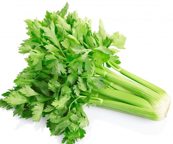 celery from United States supplied by Van Solkema Produce Inc - Fresh (=Chilled) Fresh Celery
