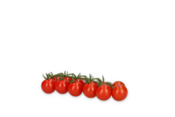 Tomato from Germany supplied by Rijk Zwaan Welver GmbH - Beefsteak & Round Varieties - Beef Variety Fresh Tomato