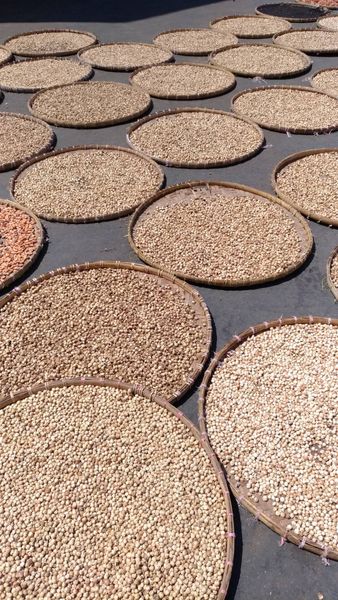 Amomum/cardamom from 인도네시아 supplied by PT. Hechen Jaya Abadi - PP Bags (45kg) 카다멈