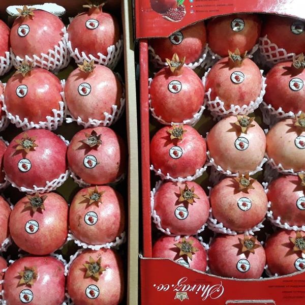 Pomegranate from 이란 supplied by Safiran Sepehr Paya - Wonderful (=Qirmizi Qabiq Veles) 신선 석류