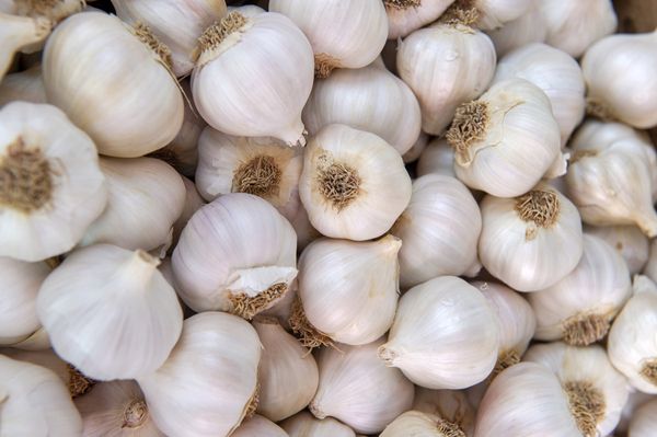 White Spring Garlic from 스페인 supplied by Ajos Palacios SL - As per customer's request 신선 마늘