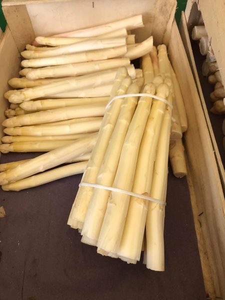 Fresh Asparagus from 프랑스 supplied by FERME DE LA CACHETERIE - White 신선 아스파라거스