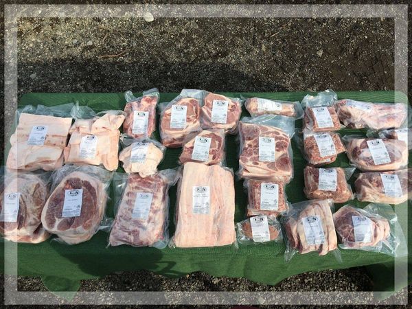 9 lb. fresh pork belly from 미국 supplied by Alluvial Farms - Vacuum Sealed 돼지고기 통조림