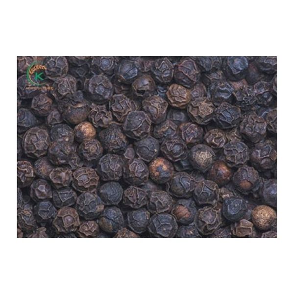 Vietnam Black Pepper 500 G/L from 베트남 supplied by K Agriculture - Medium-Large 흑후추 열매