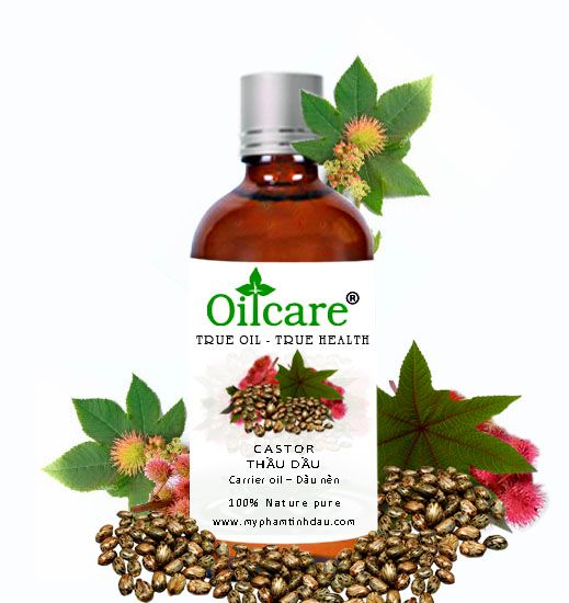 Castor Oil from 베트남 supplied by Oil Care Company Limited - Glass Jar (=Glass Bottle) 피마자 오일