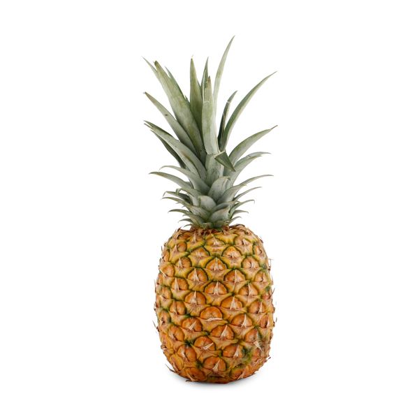 Pineapple from 프랑스 supplied by Bonabio - Fresh (=Chilled) 신선 파인애플