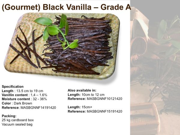 Madagascar Black non split grade A vanilla pods from United Kingdom supplied by MASPICESEU - Conventional Vanilla