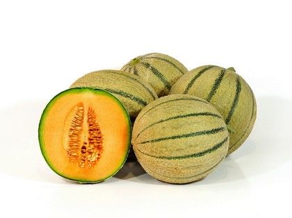Melon from 스페인 supplied by Hortiquality SL - Whole 신선 멜론(머스크 멜론)