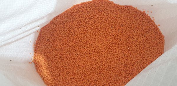 red lentils from 러시아 supplied by ChemTrade LLC - Export Quality 말린 렌틸