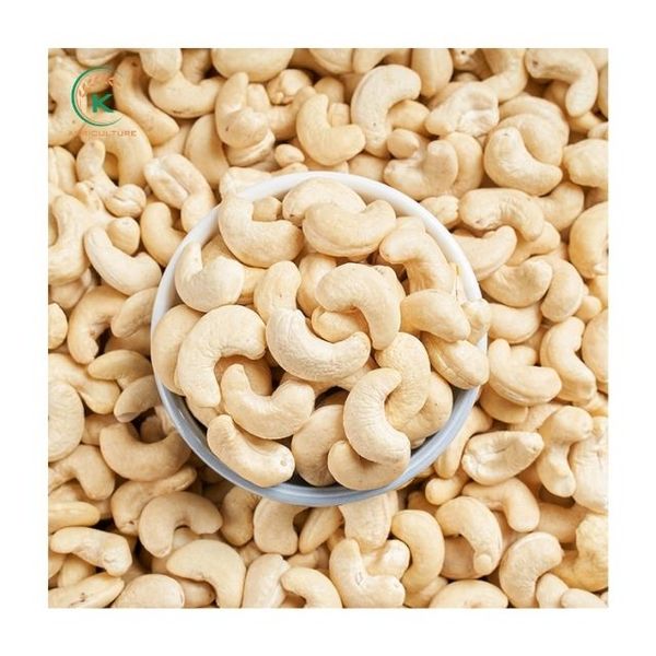 Vietnam Cashew Kernels W210 from 베트남 supplied by K Agriculture - WW210 (=White Wholes 210=Jumbo) 캐슈너트 알맹이