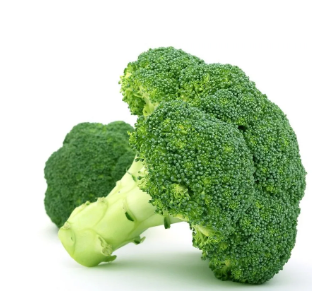 Fresh Broccoli from 스페인 supplied by Agromontes Fresh Group SL - Whole 신선 브로콜리 꽃