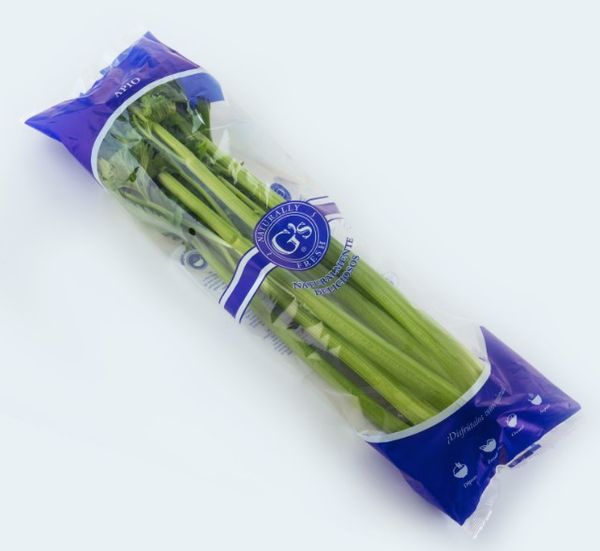 Fresh Celery from 스페인 supplied by Grupo G´s - Green 신선 셀러리