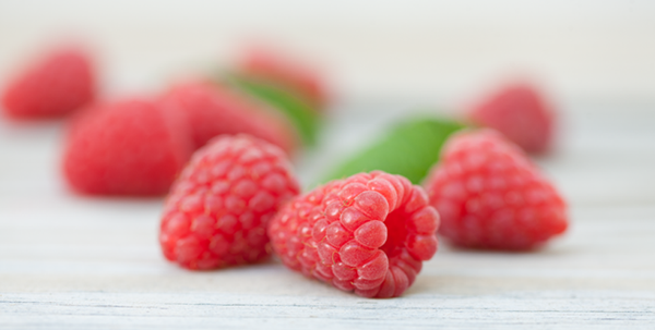 Raspberries from United States supplied by HBF International LLC - Carton Box (=Cardboard Box) Fresh Raspberry