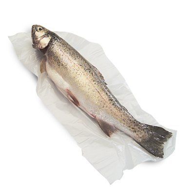 Trout from 노르웨이 supplied by Bravo Seafood AS - Loin 냉동 송어