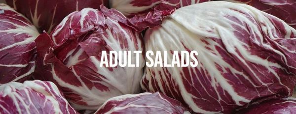 Fresh Radicchio from 이탈리아 supplied by O.p. Oasi Soc Agricola Cons Rl - Red Chicory - Radicchio (=Italian Chicory) 치커리