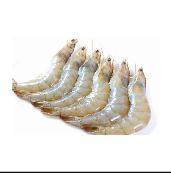 Shrimp from Ecuador supplied by Sunrise Food Trading Inc. - HLSO (Headless Shell On) Frozen Common Shrimp & Prawn