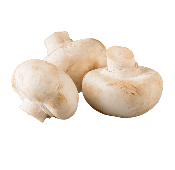 White Mushroom from 미국 supplied by Monterey Mushrooms - Fresh (=Chilled) 신선 양송이버섯