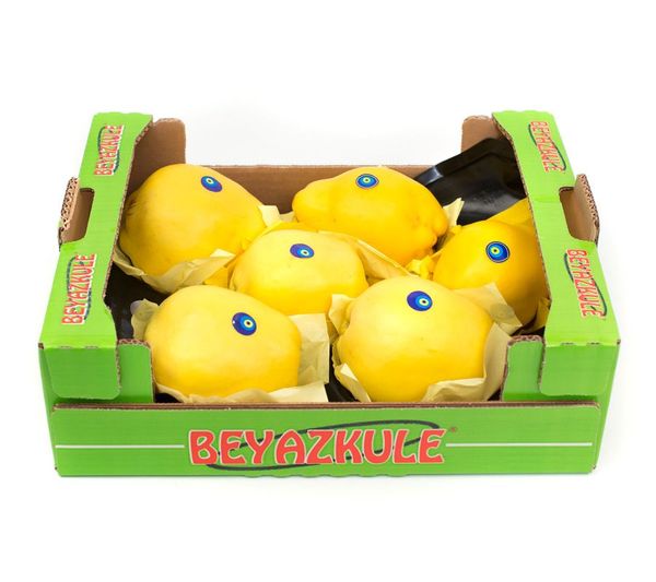 Quince from Turkiye supplied by Beyazkule Tarim - Esme Quince