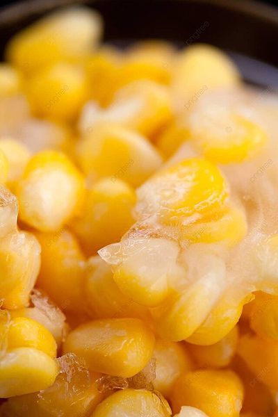 Frozen Sweet Corn from Egypt supplied by First choice - Frozen Maize (Corn)
