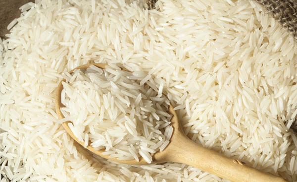 Basmati rice from United Arab Emirates supplied by CIT Foods - Polished (White Rice) Rice