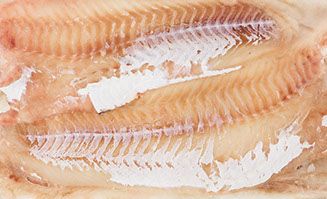 Haddock from United Kingdom supplied by Prime Processors - Fresh (=Chilled=Raw) Fresh Haddock