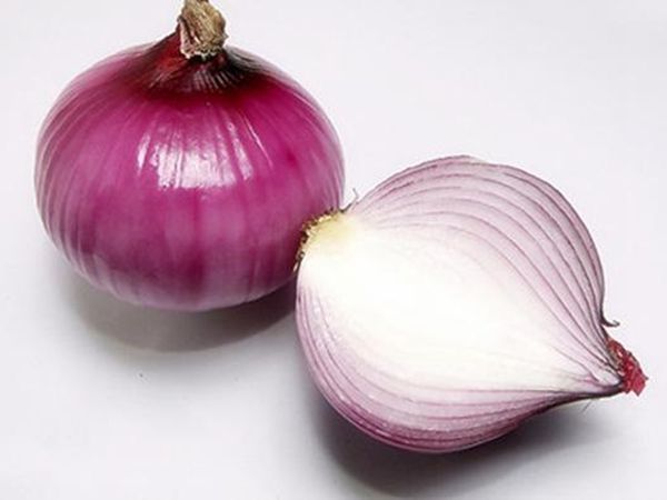 Onion from China supplied by Weifang Jiahe Food - Red Fresh Onion