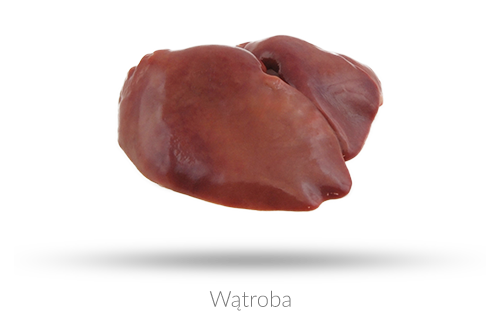 Chicken Offal from 폴란드 supplied by Adros sp. z o.o - Offal - Liver 내장